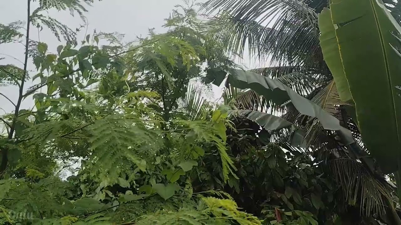 ASMR Cloudy Village Ambience – Gentle Thunder, Birds Chirping & Subtle Engine Sounds