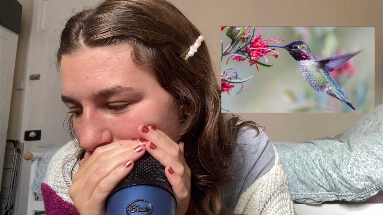 ASMR| Cupped Whispering Facts about Hummingbirds!