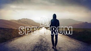 Alan Walker - Alone (Dj Spectrum release)