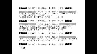 Lost Island (longplay) for the ZX81