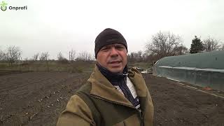 видео: Весна пришла! Самая простая, но самая эффективная обрезка роз! картинка: Весна пришла! Самая простая, но самая эффективная обрезка роз!