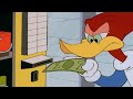 Woody fights the candy machine  woody woodpecker