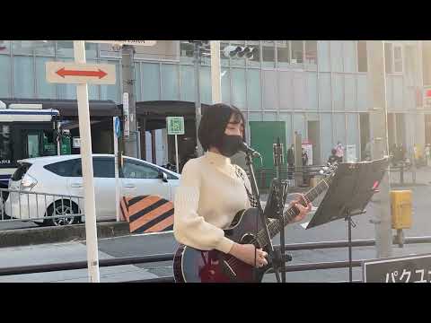 キンモクセイ/オレンジスパイニクラブ