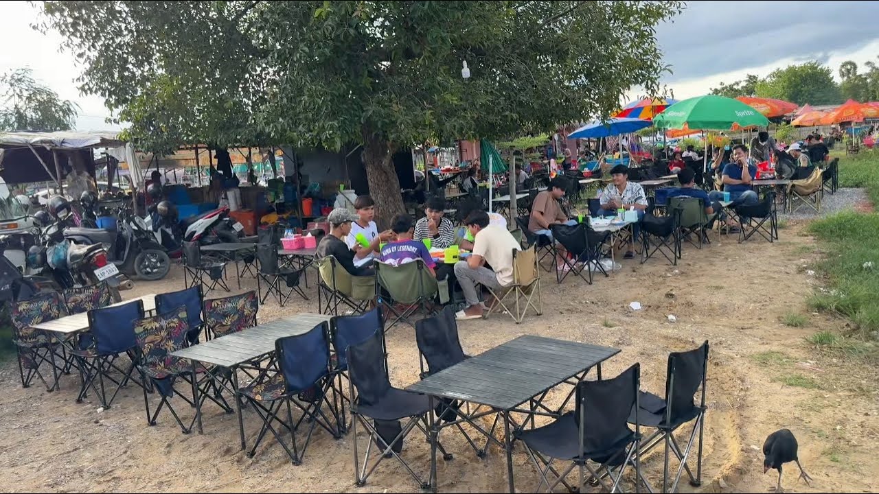 ស្រះឈូក ក្នុងភូមិនរា ខេត្តបាត់ដំបង/ Lotus Flowers Ponds in Battambang Province, Cambodia