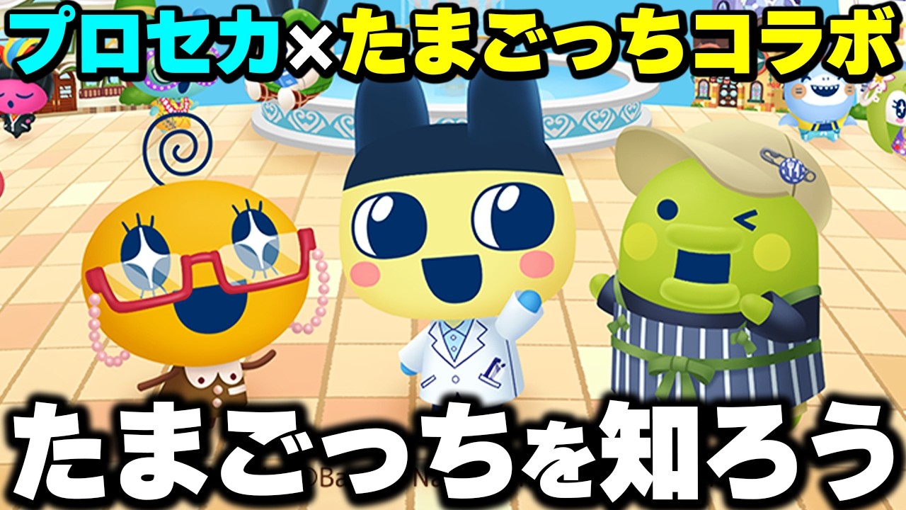 In preparation for the ProSeka x Tamagotchi collaboration