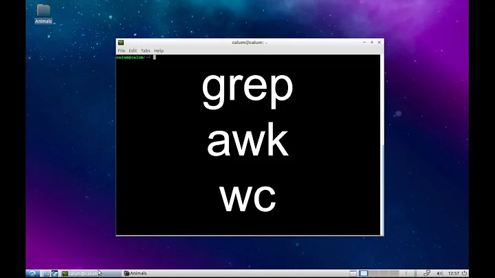 Command Line: grep, awk & wc commands