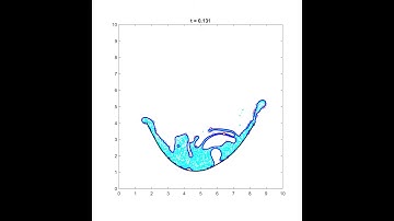 Immersed Boundary (IB) Method 3-phase simulation demo
