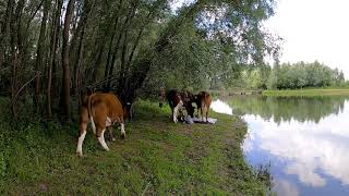 Rondwandeling Langs Ijssel Groene Route - De Worp Deventer