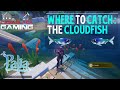 When, Where &amp; How to Catch the Cloudfish in Palia | 1 Min Guide