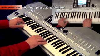 Video thumbnail of "Aan Het Strand Stil En Verlaten - Keyboard Spelen Met Plezier deel 3"