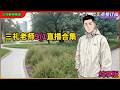 三礼老师9月1日直播合集纯享版