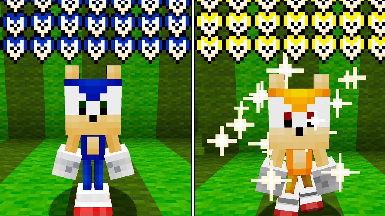 Eu Tenho Vida do Sonic!