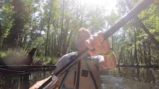 Day 1 - Kayak Camping Paddle of the Newport River from Newport, NC to Beaufort, NC