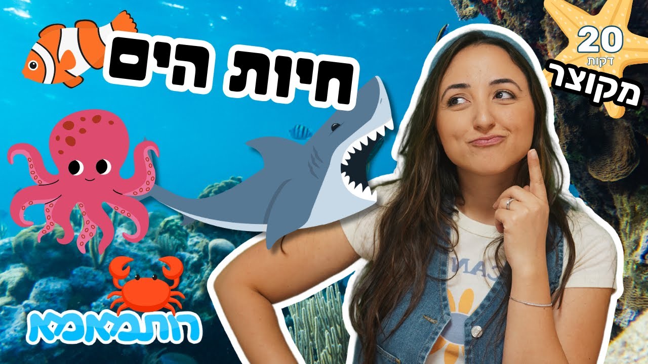 גרסה מקוצרת - לומדים על חיות הים 🌊 | סרטון חינוכי לילדים | חיות לילדים