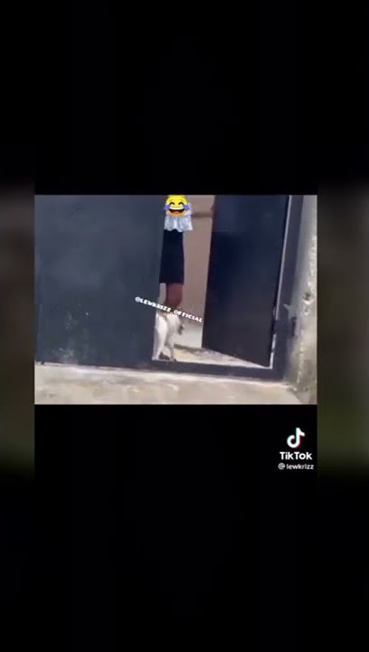 Lekki girl having sex with a dog for #1.7m