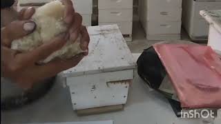 How to Make Bee Candy (Fondant) for Honey Bees | Emergency Feeding Method Explained screenshot 2