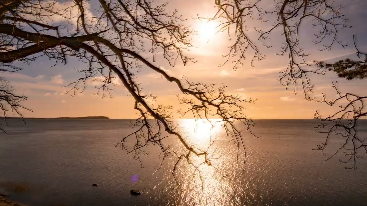 Heute am Steilufer bei Wreechen.