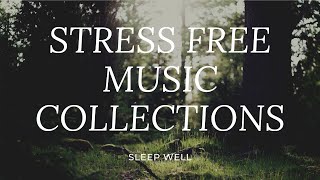 STRESS FREE RELAXING MUSIC | HARMONIC RHYTHM