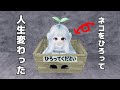 【物語】捨てネコと少年。