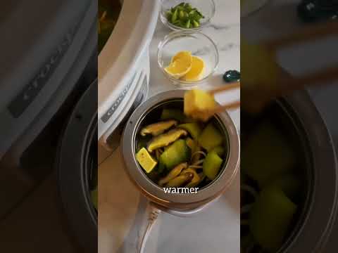 Portable Electric Food Warmer Aldi