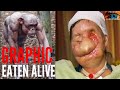 Eaten alive by chimpanzee womans face ripped off by travis the chimp  911 audio