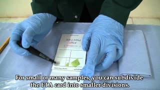 Kirkhouse Trust - Applying plant material to FTA cards for long term storage screenshot 3