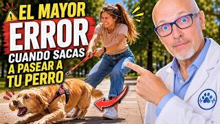 🐶❌ EL MAYOR ERROR CUANDO SACAS A PASEAR AL PERRO 🐶❌ MUCHOS DUEÑOS LO COMETEN A DIARIO