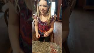 Stellas Science Experiment-Exploding Volcano