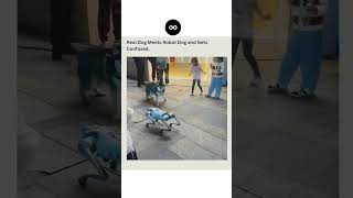 A real dog meet a Robot dog #technology #science #physics #ai #tech #artificialintelligence #viral