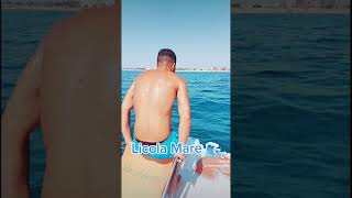 licola mare