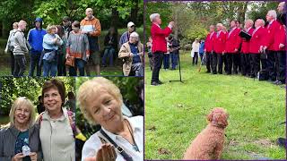 KEMP Butterfly Release 2025
