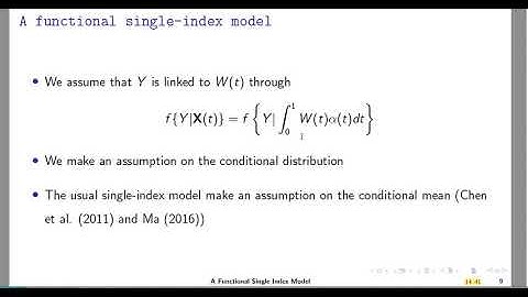 Functional single index models