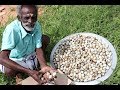 500 Quail eggs Prepared by my Daddy ARUMUGAM / Village food factory