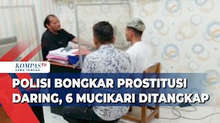 Polisi Bongkar Prosusi Daring, 6 Mucikari Ditangkap