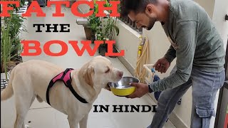 Dog ko Bowl Lana kaise sikhaye || Fatch the BowL || Grand dogs Training