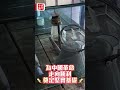 【澳日快趣】赤水河畔 紅韻扎西
