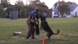 K-9 MIKE SUTTLE