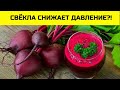 СВЁКЛА. Польза и вред свёклы для здоровья.