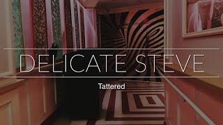 "Tattered" - Delicate Steve (Live)
