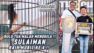 Download Lagu Bulu Tua Malah Menggila !! Sulaiman Raih Mobil ke 4 di Piala CEO Prasasti !! MP3