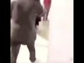 aye kanye did she put her fingers up your booty