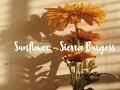 Sunflower [] Sierra Burgess [] 1 hour loop