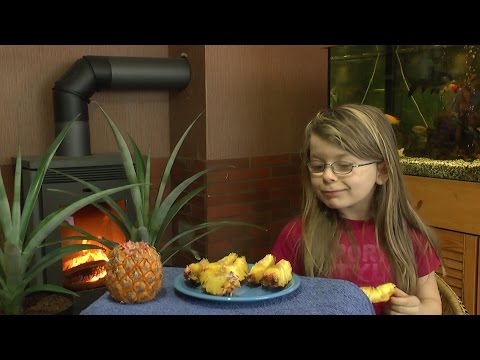 Video: Können Babys Ananas Essen: Was Eltern Wissen Sollten