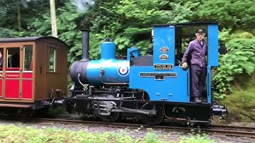Talyllyn Railway - Douglas at Forestry Crossing 6th July 2022 with the 16:14 ex Nant Gwernol