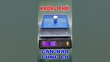 Nên mua cân nhà bếp, cân tiểu li nào ? Có nên mua Cân Tiểu Li Điện Tử Nhà Bếp WH-B30 không? | PTA