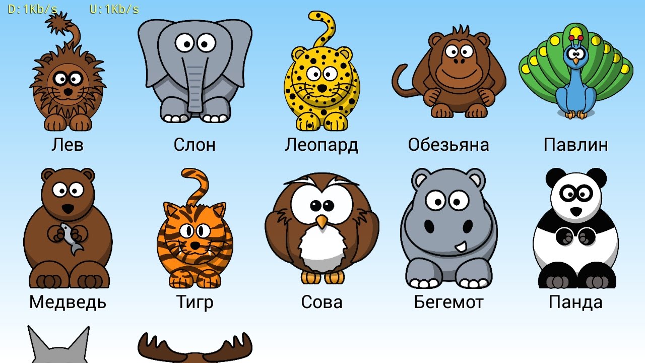 ДИКИЕ ЖИВОТНЫЕ Учим диких животных SAFARI PARK - YouTube