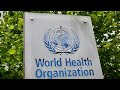 LIVE: World Health Organization delivers coronavirus update