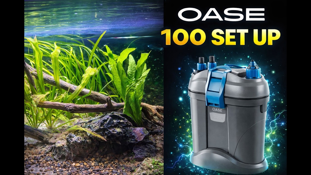 Настройка OASE BioMaster Thermo 100 | Пошаговая установка канистрового фильтра 💧