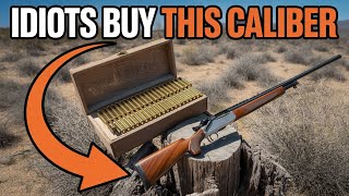 Most Accurate Cartridge Nobody Uses — The Hidden Game-Changer!