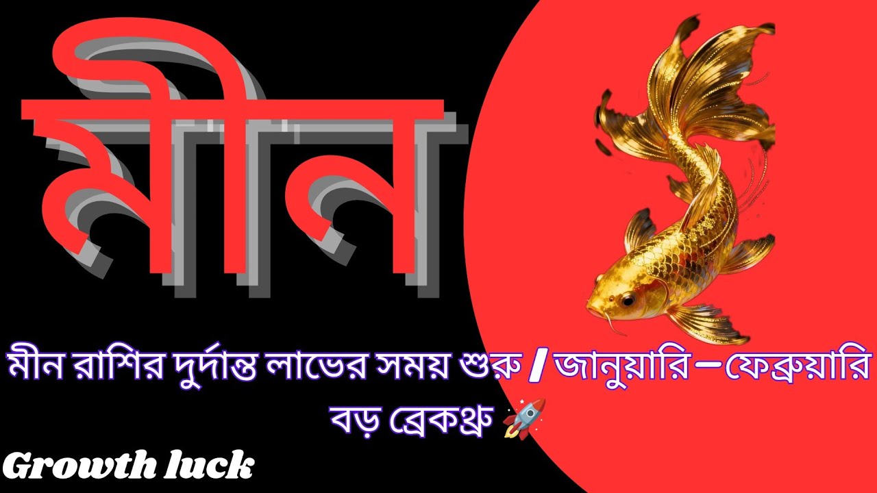 মীন রাশির দুর্দান্ত লাভের সময় শুরু | জানুয়ারি–ফেব্রুয়ারি বড় ব্রেকথ্রু 🚀